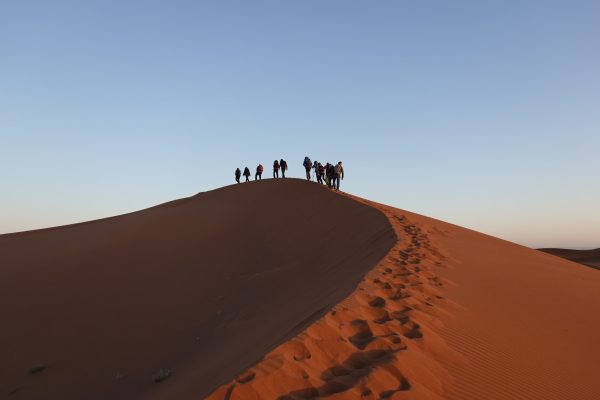 IMG-20250225-WA0013
