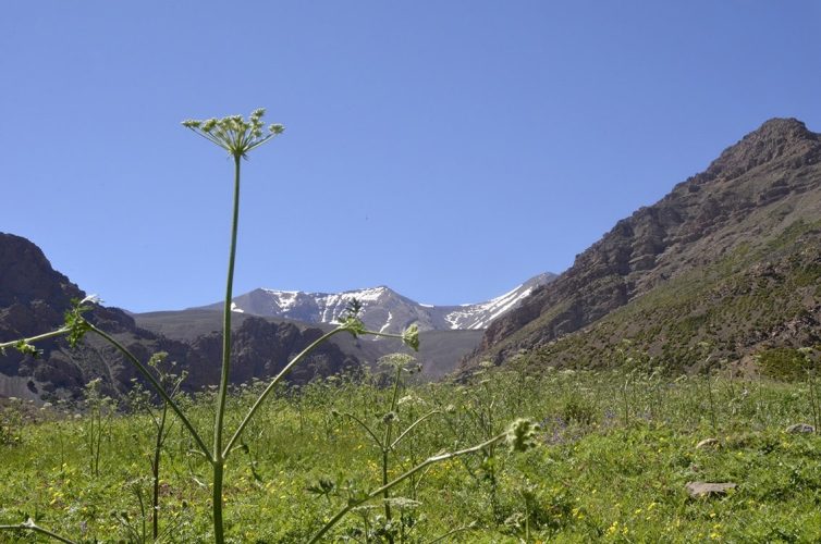 atlastrekviajes-Maroc-Voyages-01