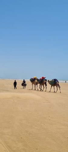 atlastrekviajes-Maroc-Voyages-12