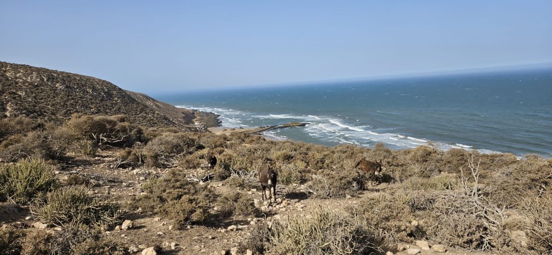 atlastrekviajes-Maroc-Voyages-17