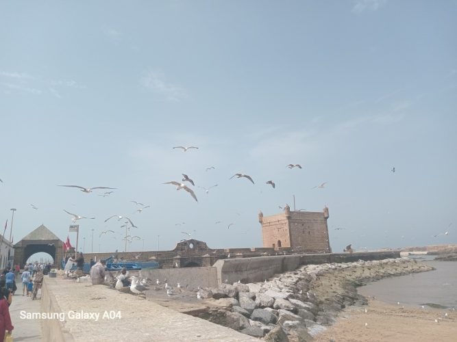 atlastrekviajes-Maroc-Voyages-7