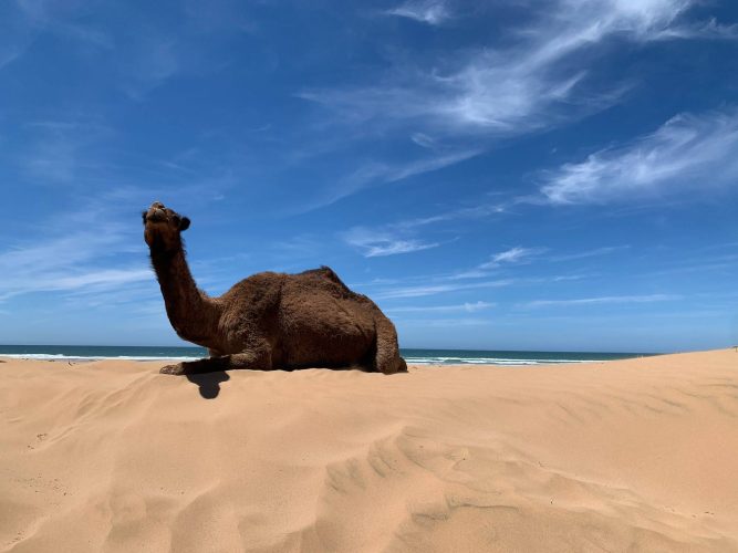 atlastrekviajes-Maroc-Voyages-9