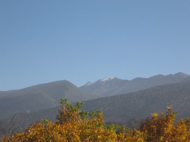 mgoun12